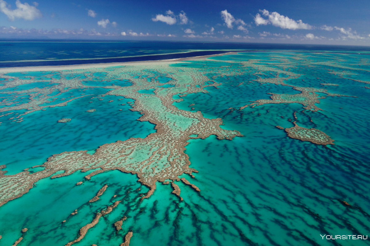 Австралия Кэрнс большой Барьерный риф вид сверху