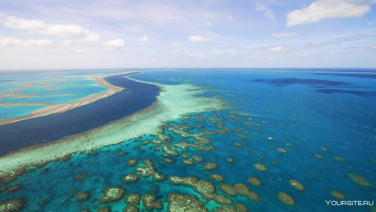 Большой Барьерный риф туристы