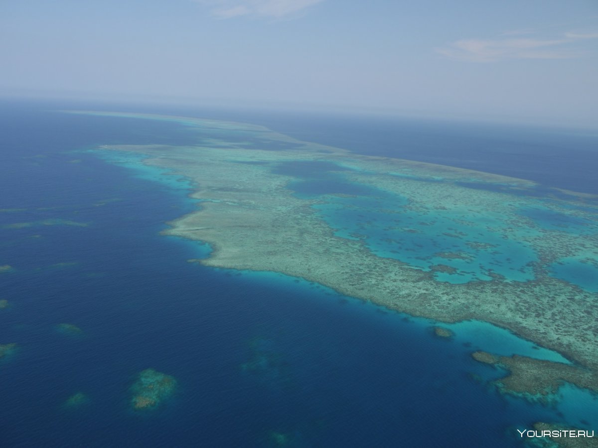 Большой Барьерный риф Квинсленд
