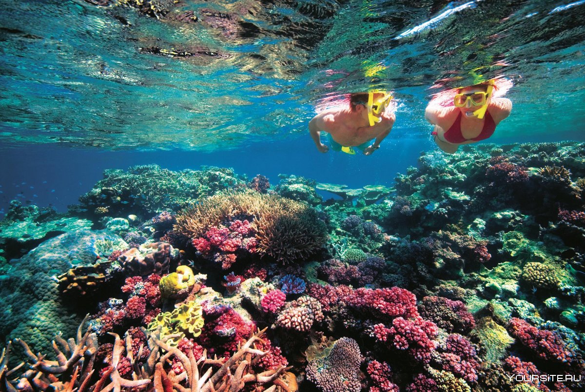 Большой Барьерный риф Австралия туризм