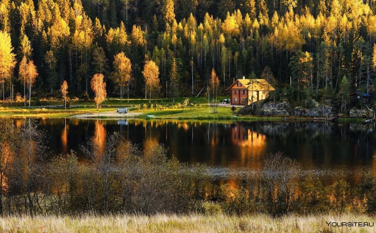 Лес Карелии озеро осень