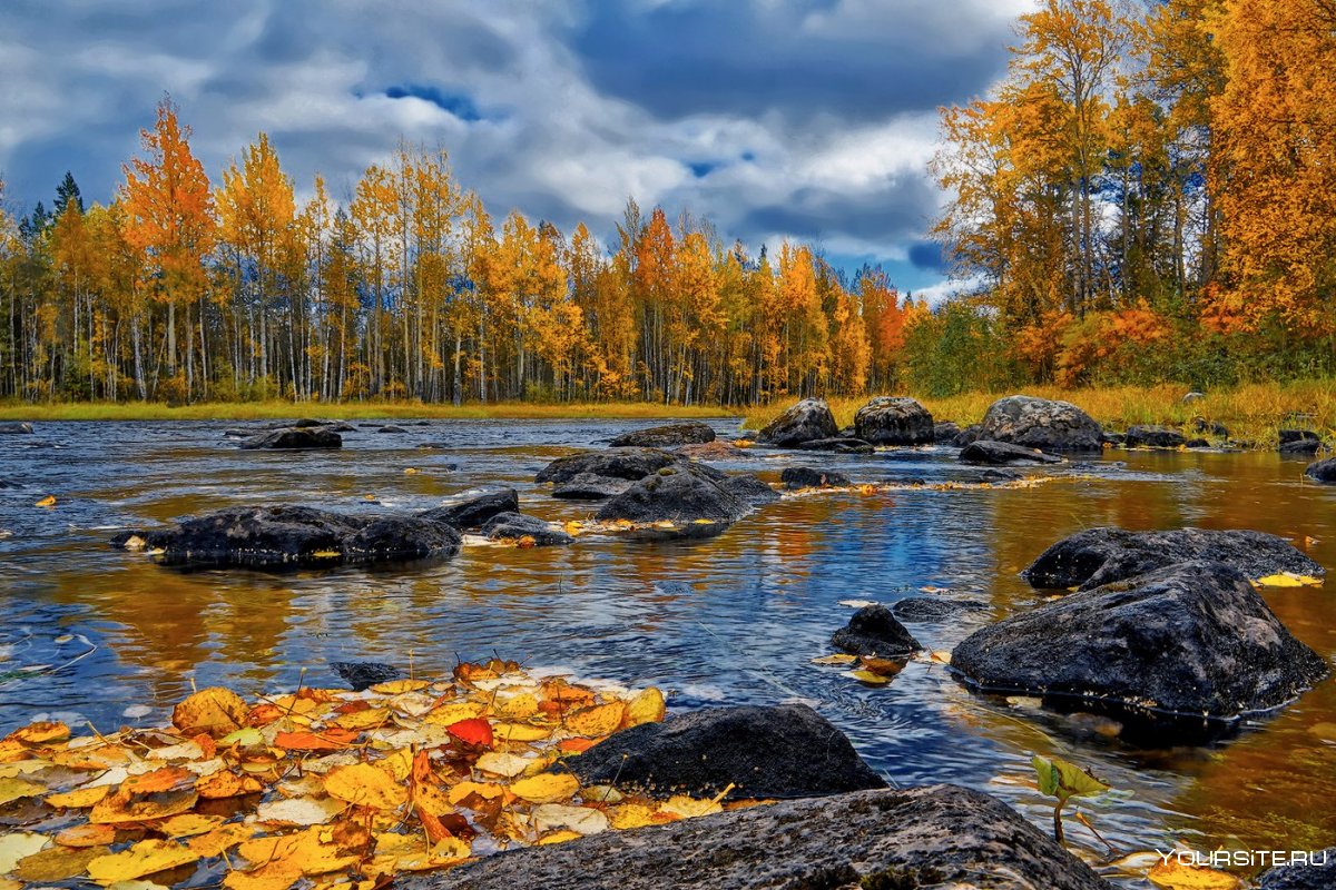 Осенняя река Карелия