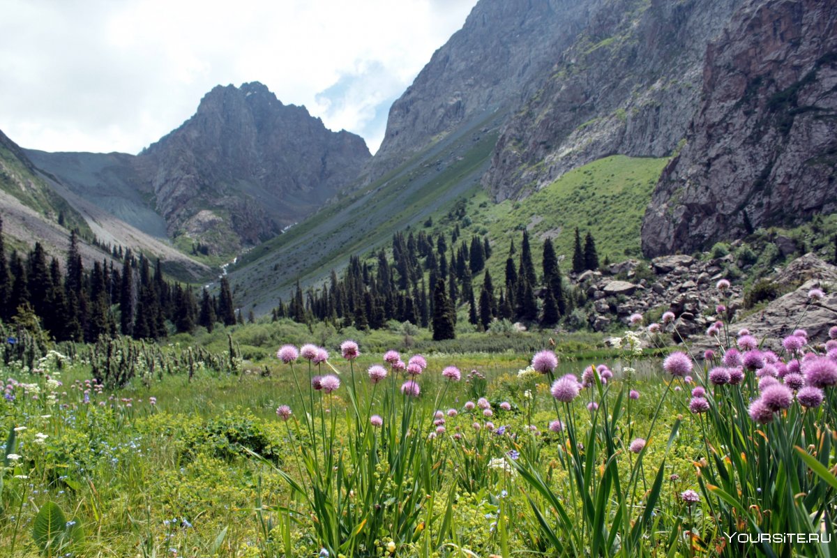 Природа Кыргызстана Тянь Шань