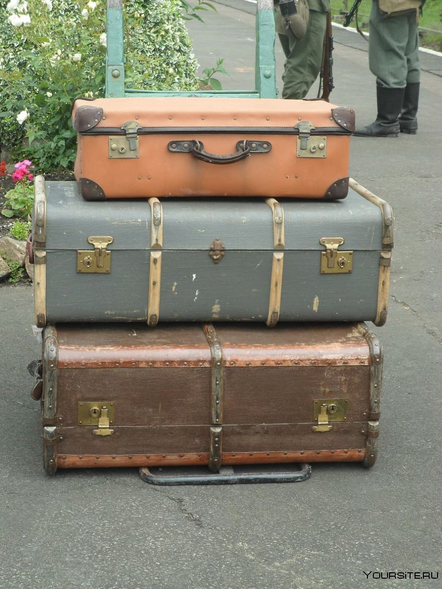 Война чемоданы