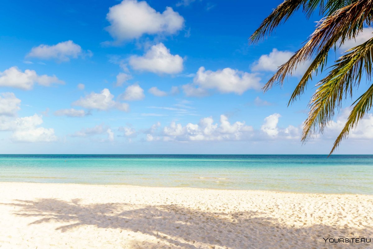 Pullman Cayo Coco 5* Куба — Лос Кайос