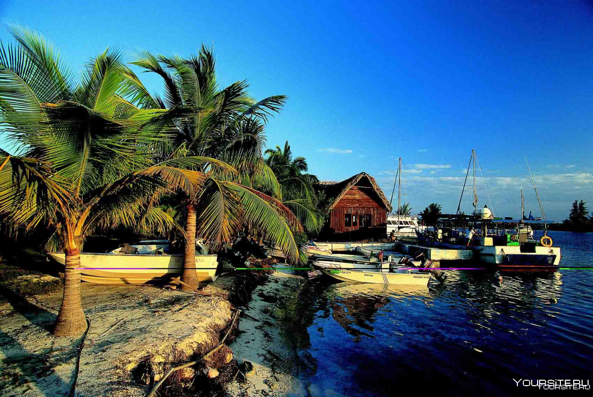 Pullman Cayo Coco 5* пляж фото в хорошем качестве
