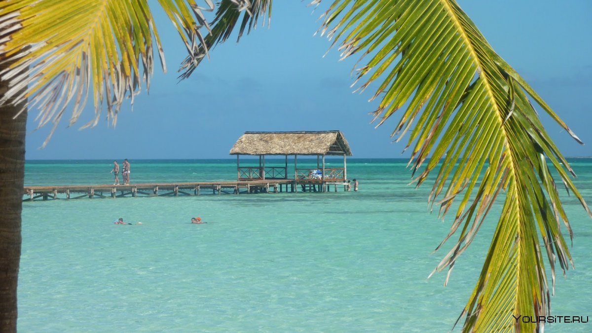 Tryp Cayo Coco 4* Куба, Хардинес-дель-Рей