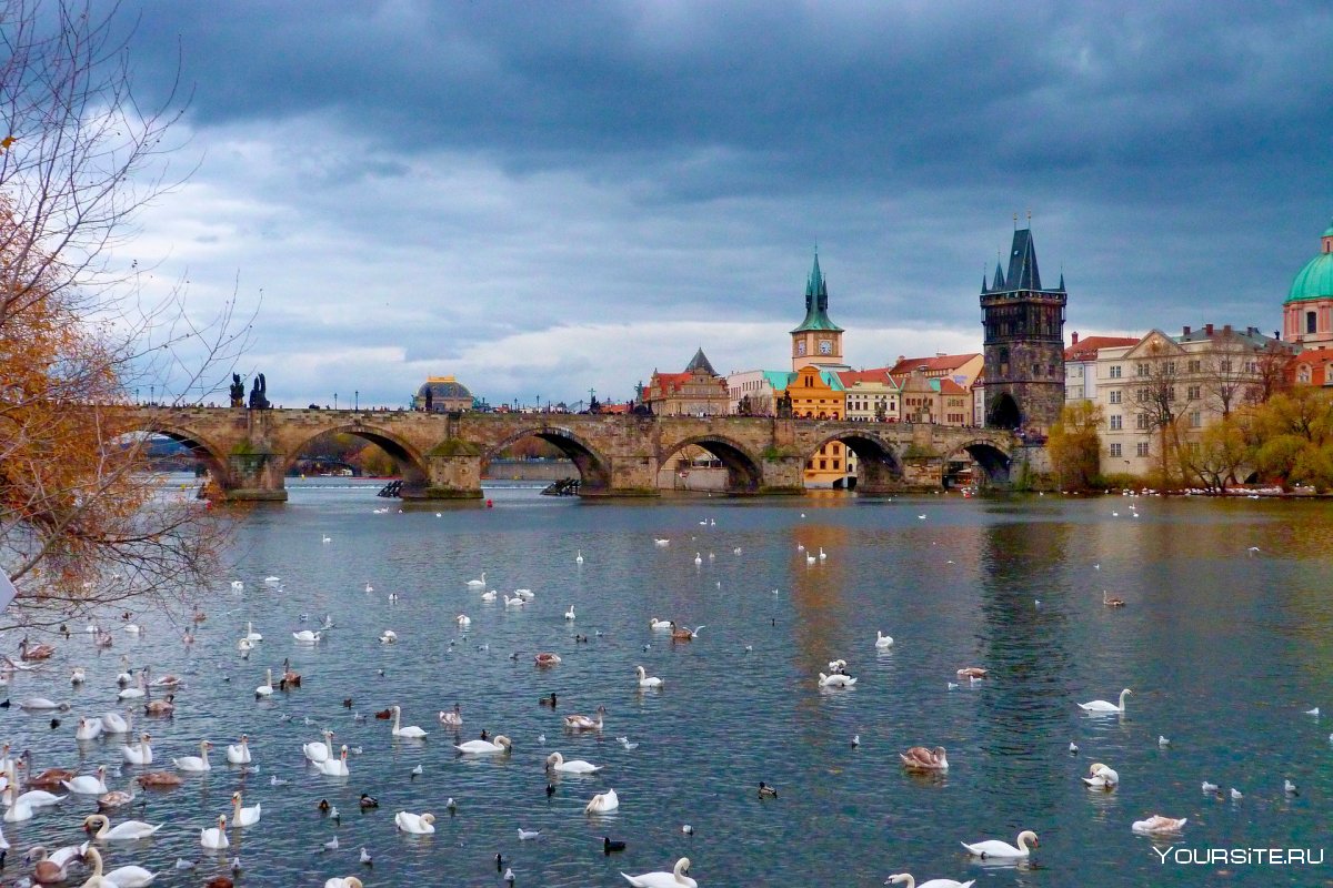 Прага Карлов мост Весна