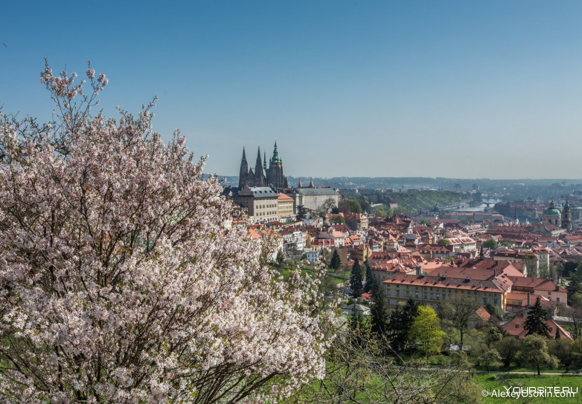 Чехия Прага весной