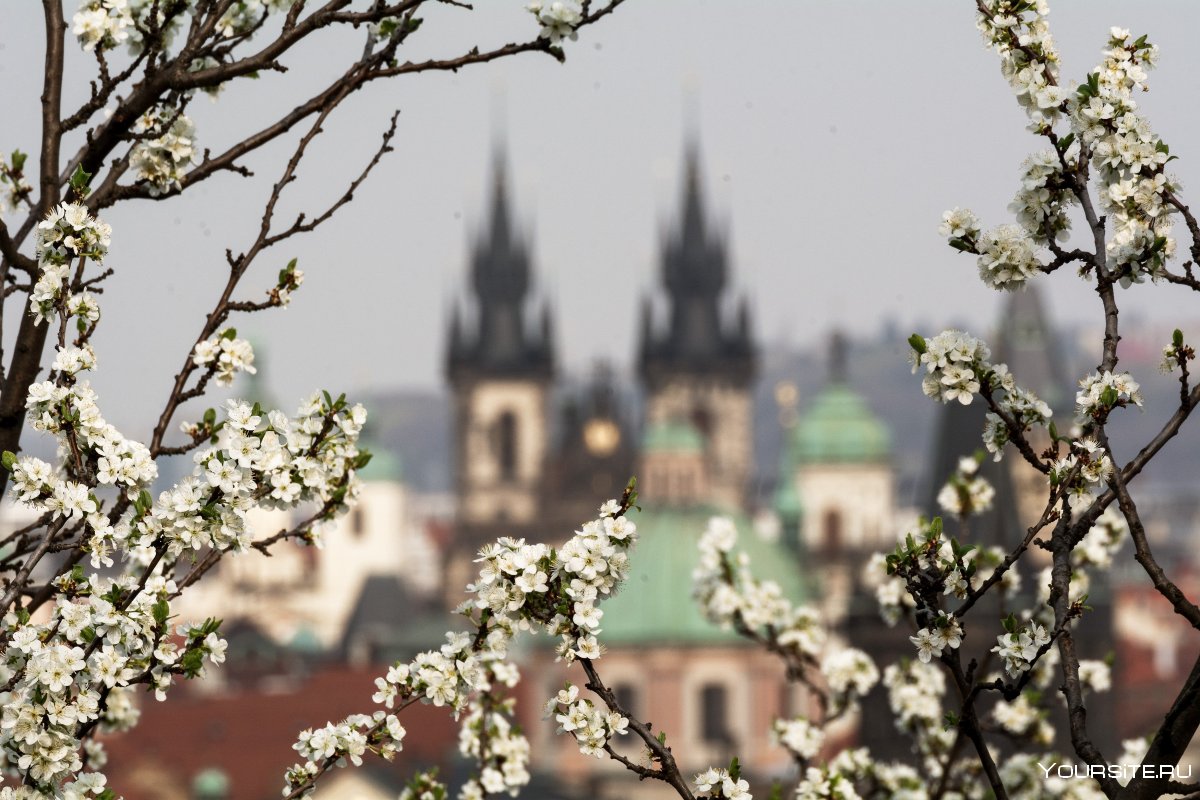 Весна в Праге