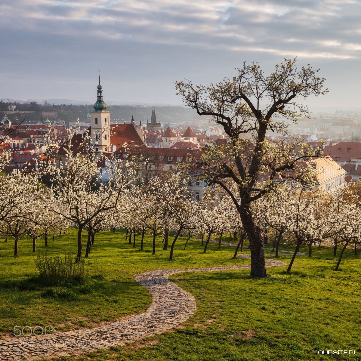 Прага цветет