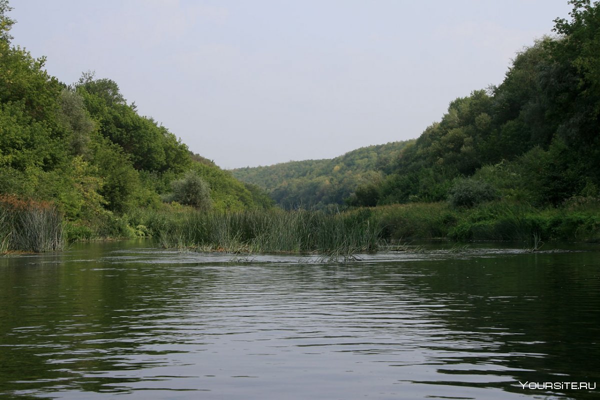 Река Терешка Саратовская область