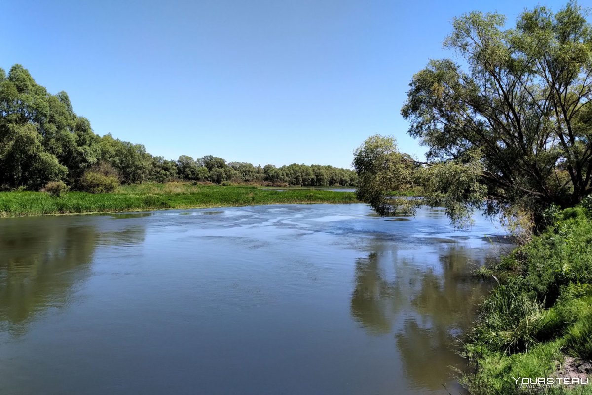 Сахзавод река Хопер