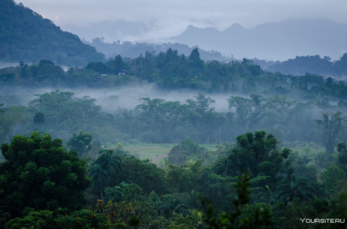 Республика Панама джунгли