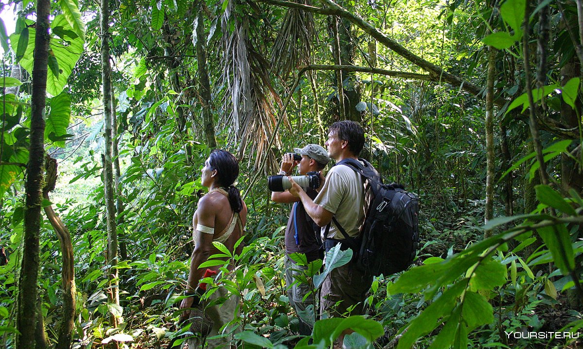 Колумбия Амазонские джунгли Колумбии