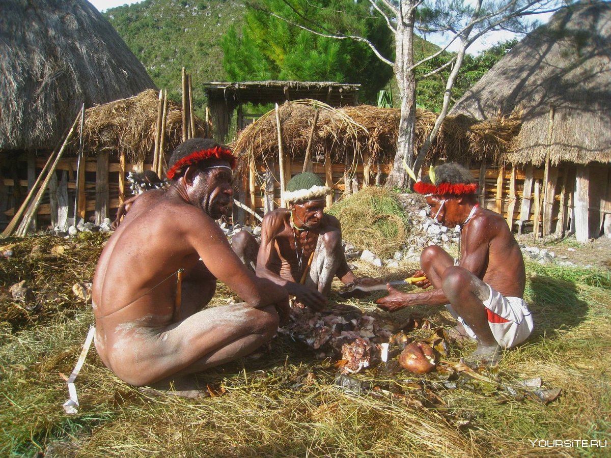 27-028 Сумка аборигена (Папуа)