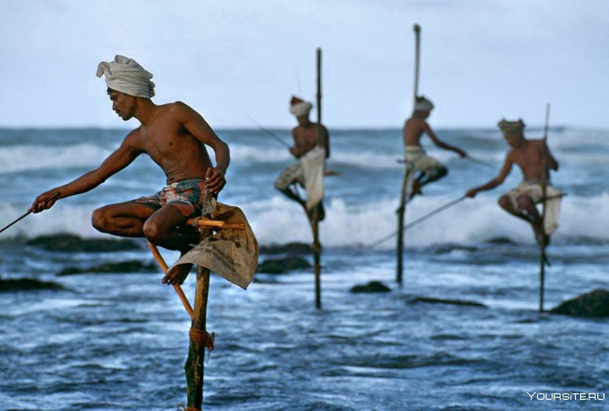 Рыбаки на Шри Ланке на шестах
