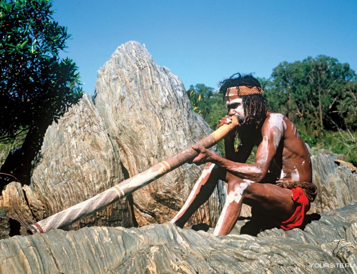 Диджериду духовой музыкальный инструмент аборигенов