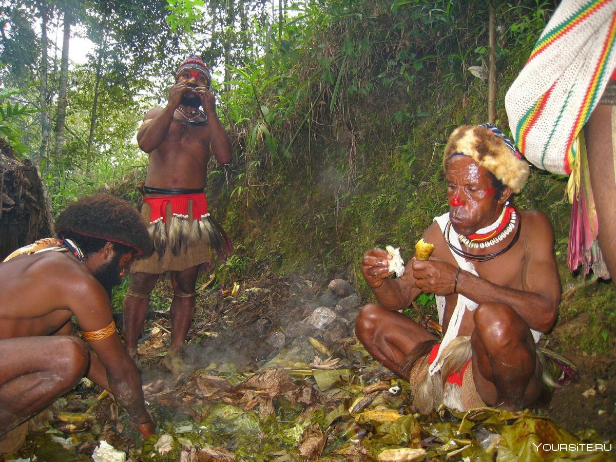 Картинки аборигены съели Кука