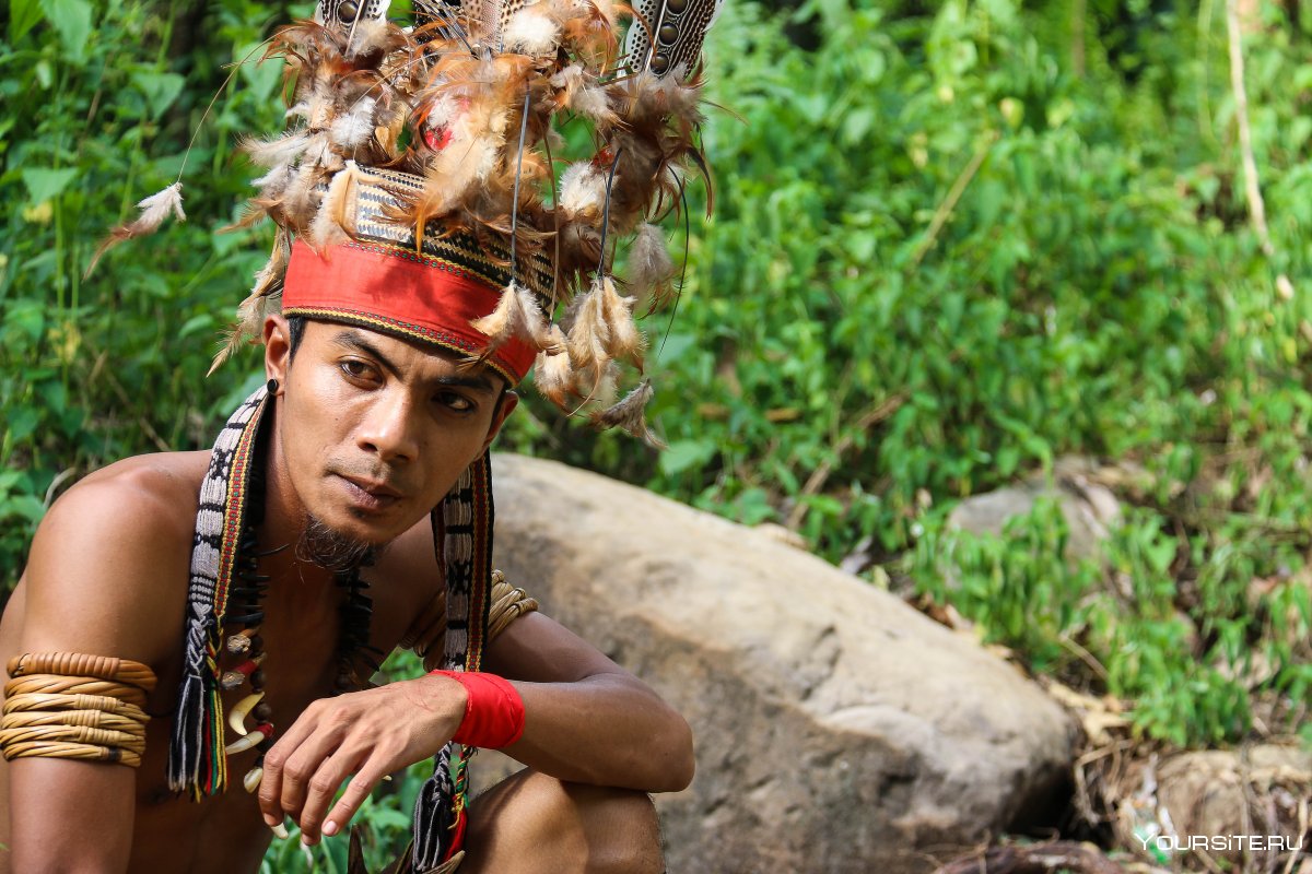 Борнео аборигены