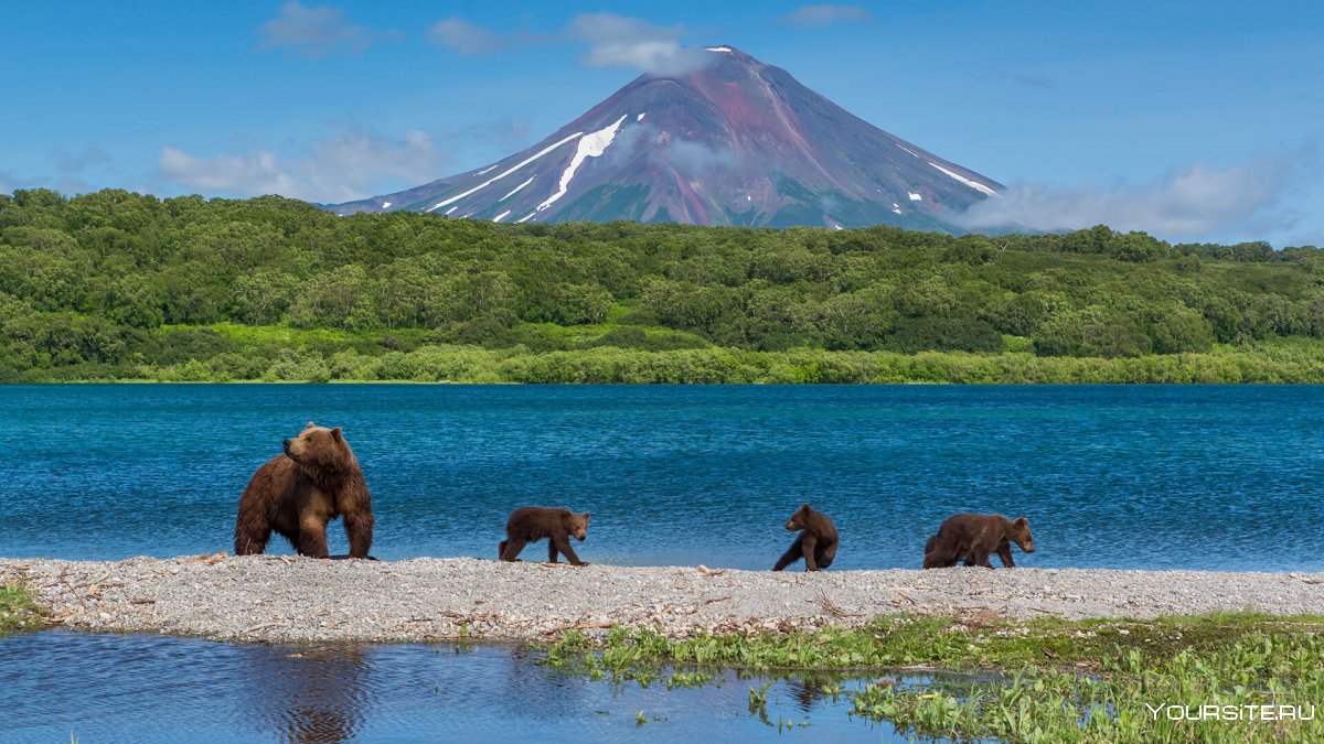 Медвежье озеро Камчатка