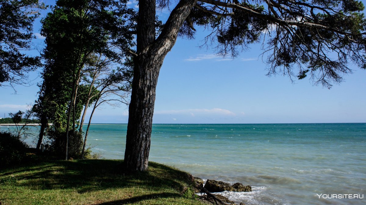 Набережная Пицунды Пицунда Абхазия