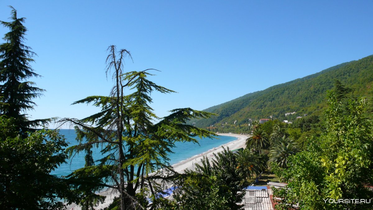 Колхида Абхазия Пицунда