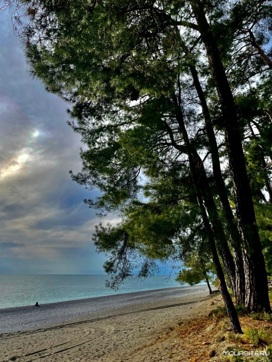 Набережная Пицунды 2020