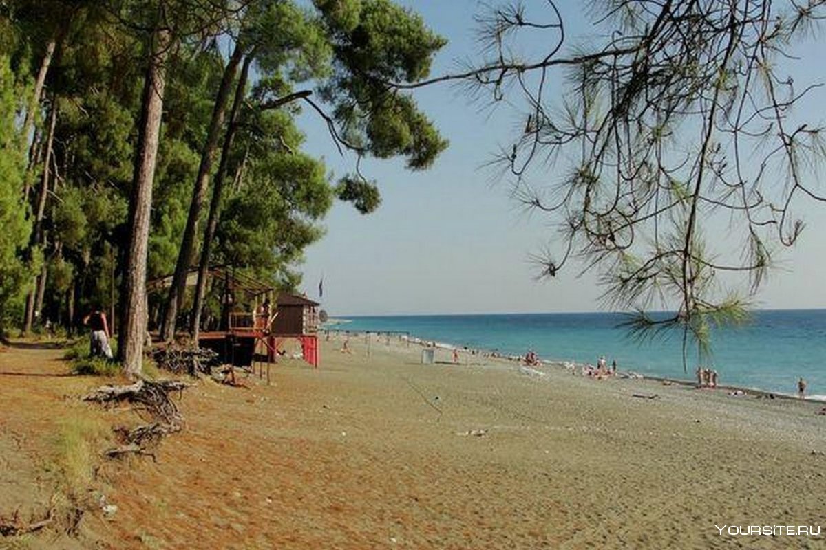 Курорт Пицунда Абхазия