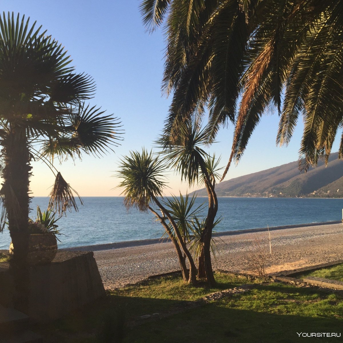 Пицунда Абхазия побережье