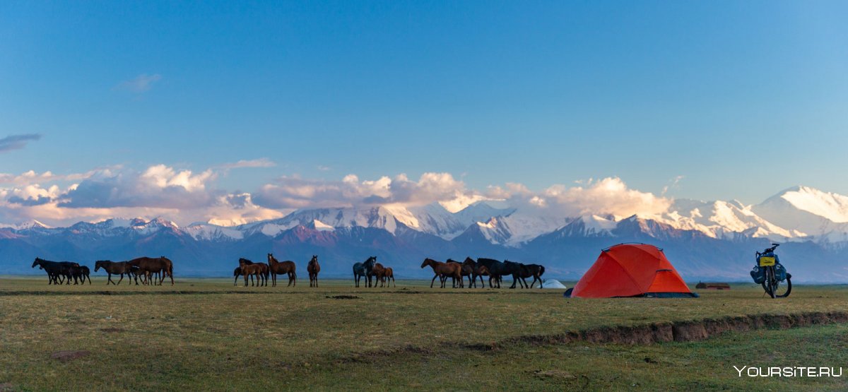 Казахстан природа горы