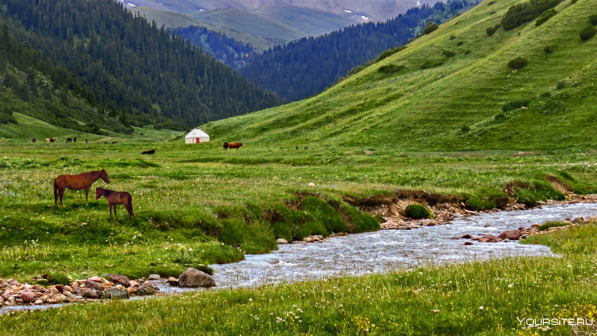 Казахстан Жайляу горы