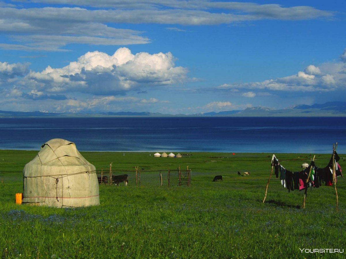 Киргизия Луга горы лошади