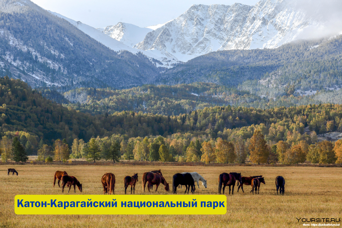 Горы Алатау в Казахстане история