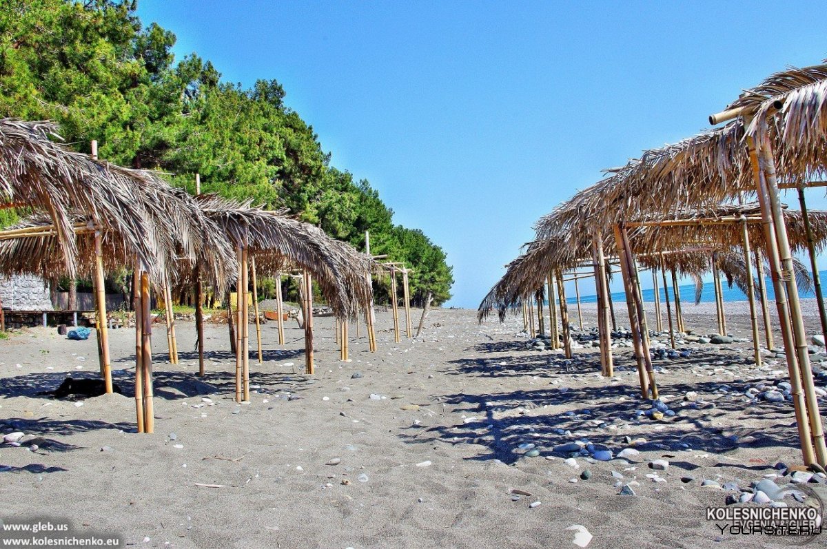 Абхазия Пицунда Сосновый пляж