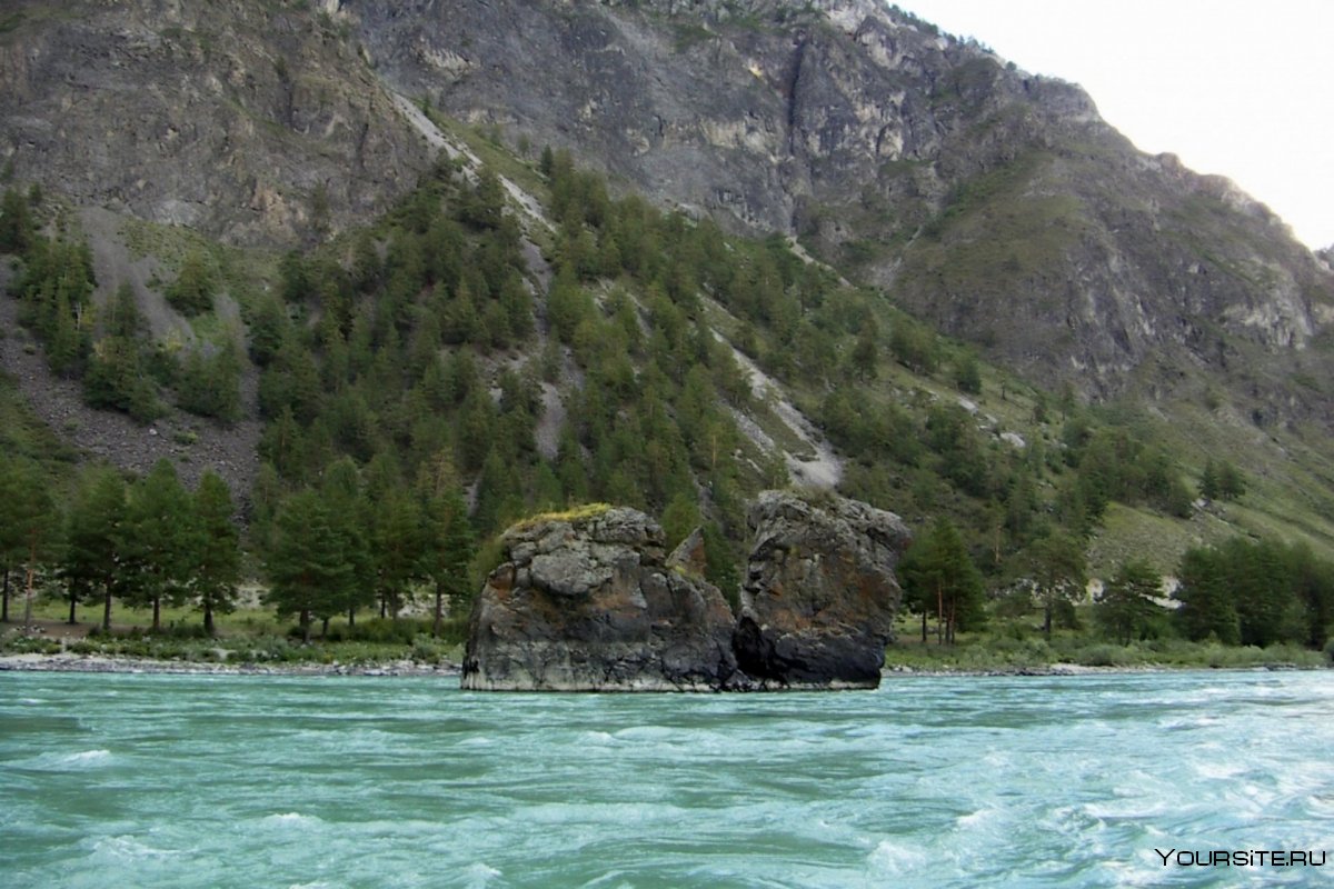 Караколы горный Алтай