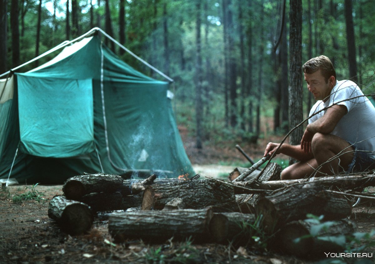 Люди в палатке в лесу