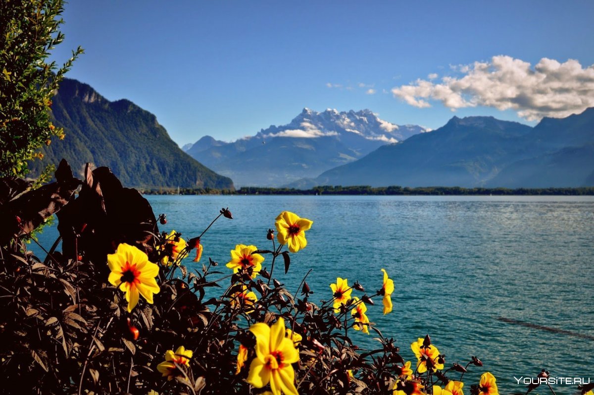 Монтре Женевское озеро Швейцария
