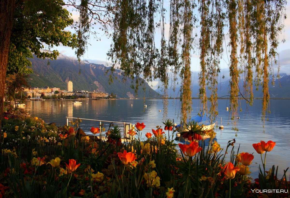 Женева озеро Леман