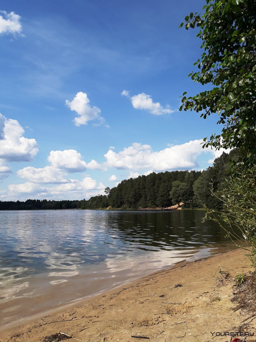 Эстония Лесные озера