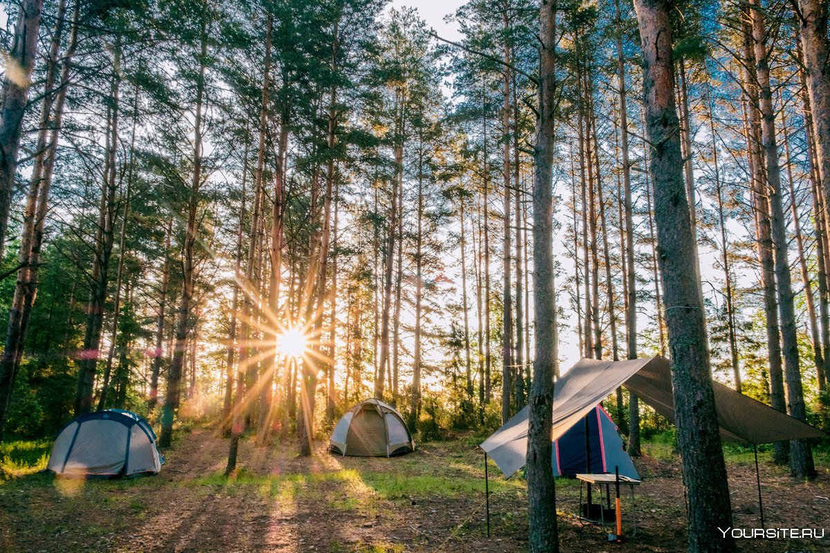 Селигер палаточный лагерь