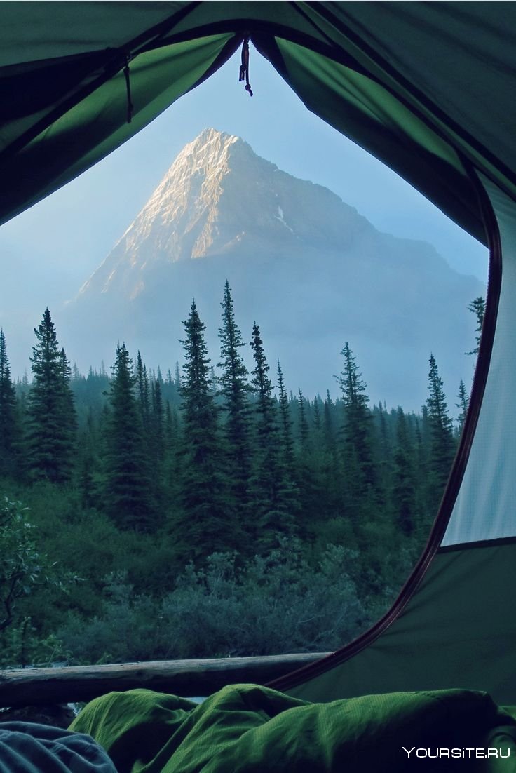 Шикарный вид из палатки
