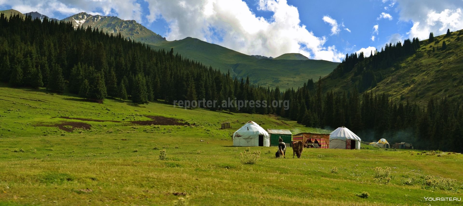 Кунгой. Горы и жайлоо Кыргызстана. Природа Кыргызстана горы жайлоо. Кыргызстан джайлоо юрта. Жайлоо Кыргызстан снежные горы.
