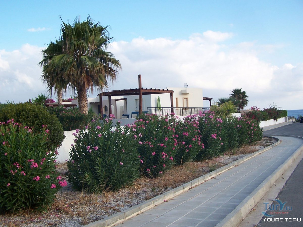 Деревня Лачи Кипр