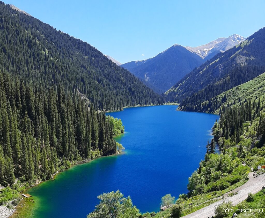 Природа Казахстана озеро Кольсай