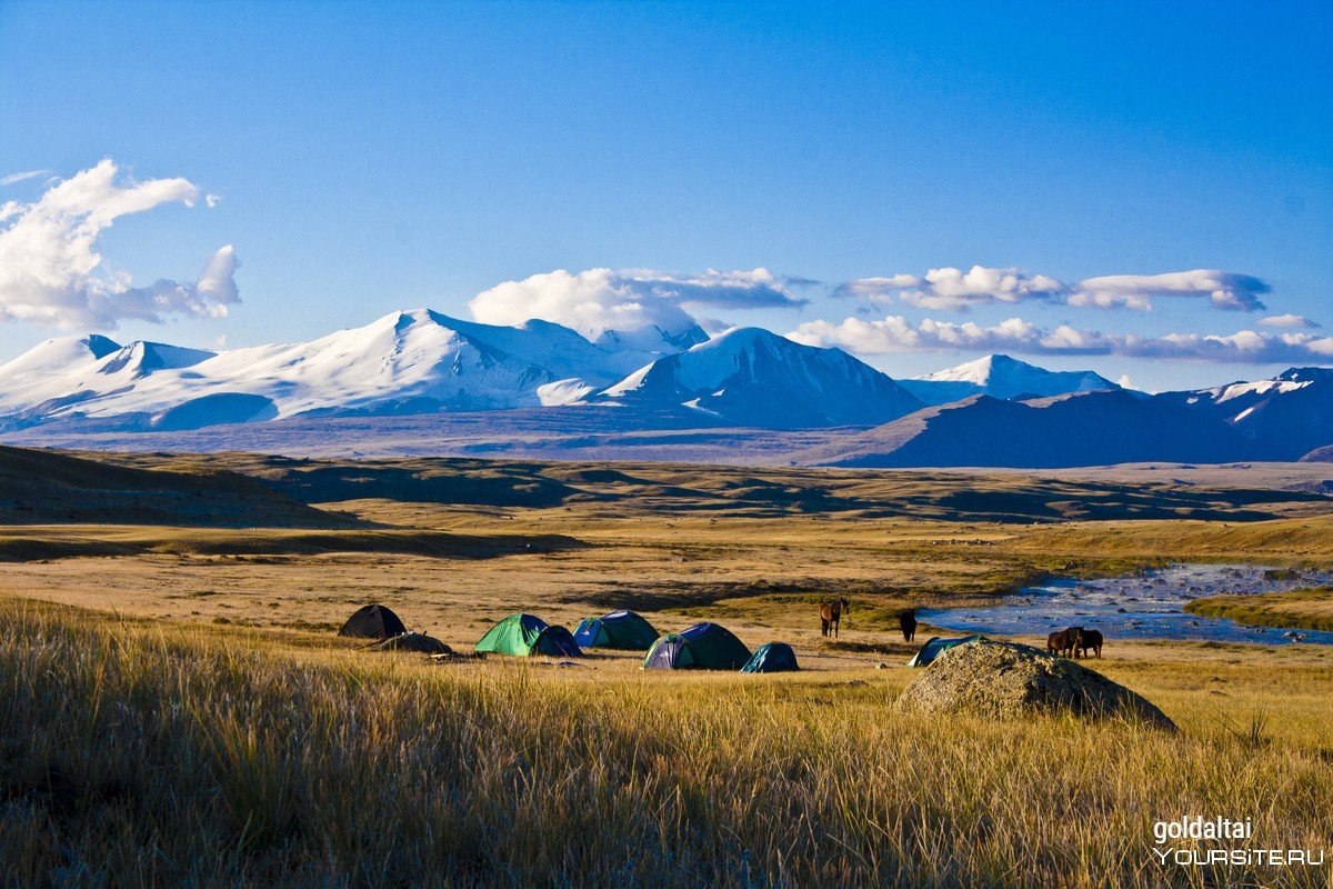 Золотые горы Алтая плато Укок