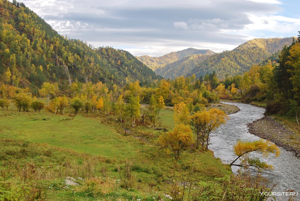 Чемал горный Алтай осенью