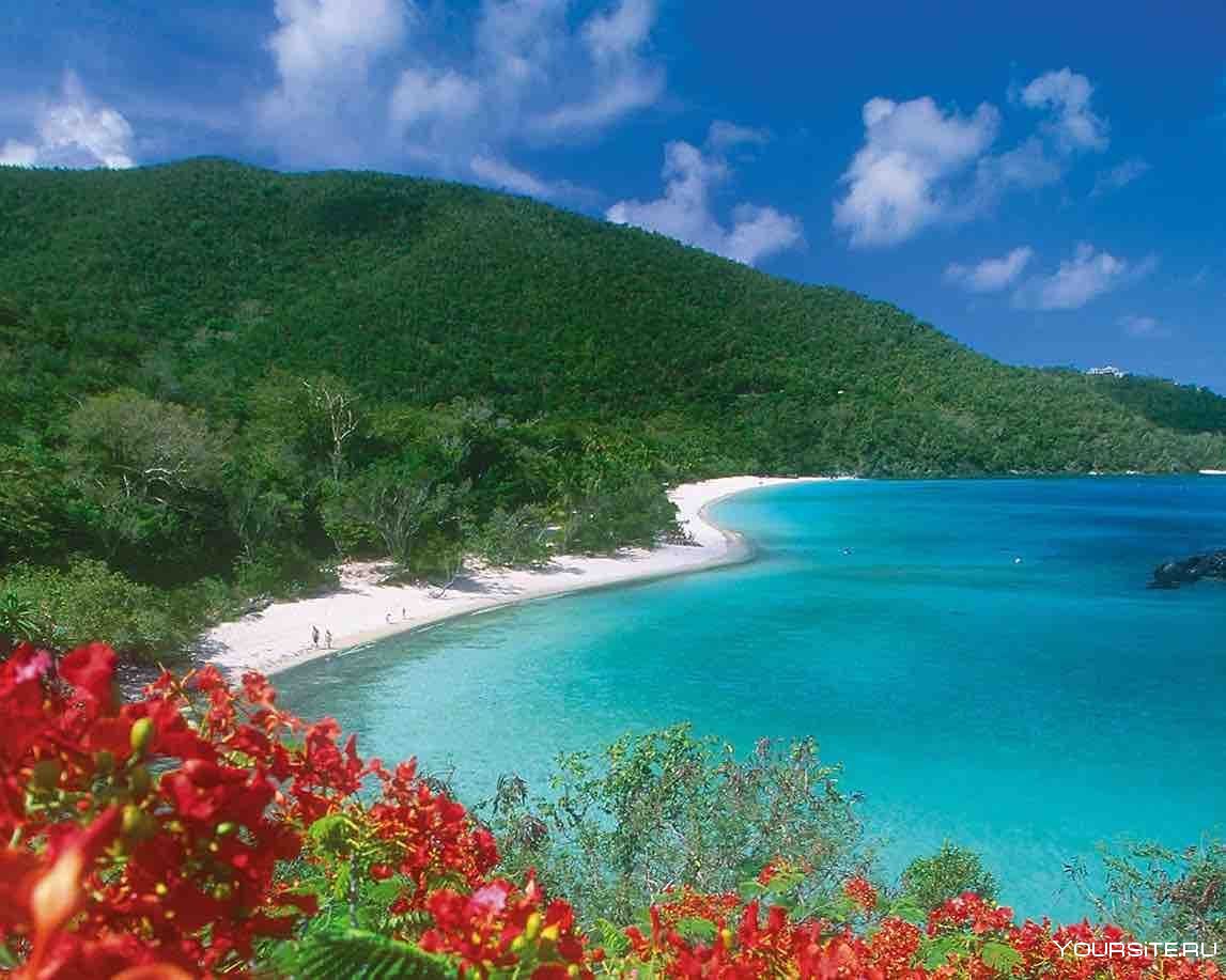 Карибские курорты