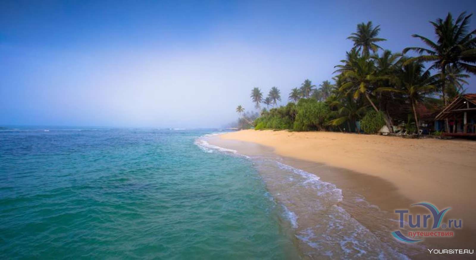 The beach шри ланка. Mirissa Beach Шри Ланка. Полхена Бич Шри Ланка. Пляж Мирисса Шри Ланка. Пляж Полхена Шри Ланка.