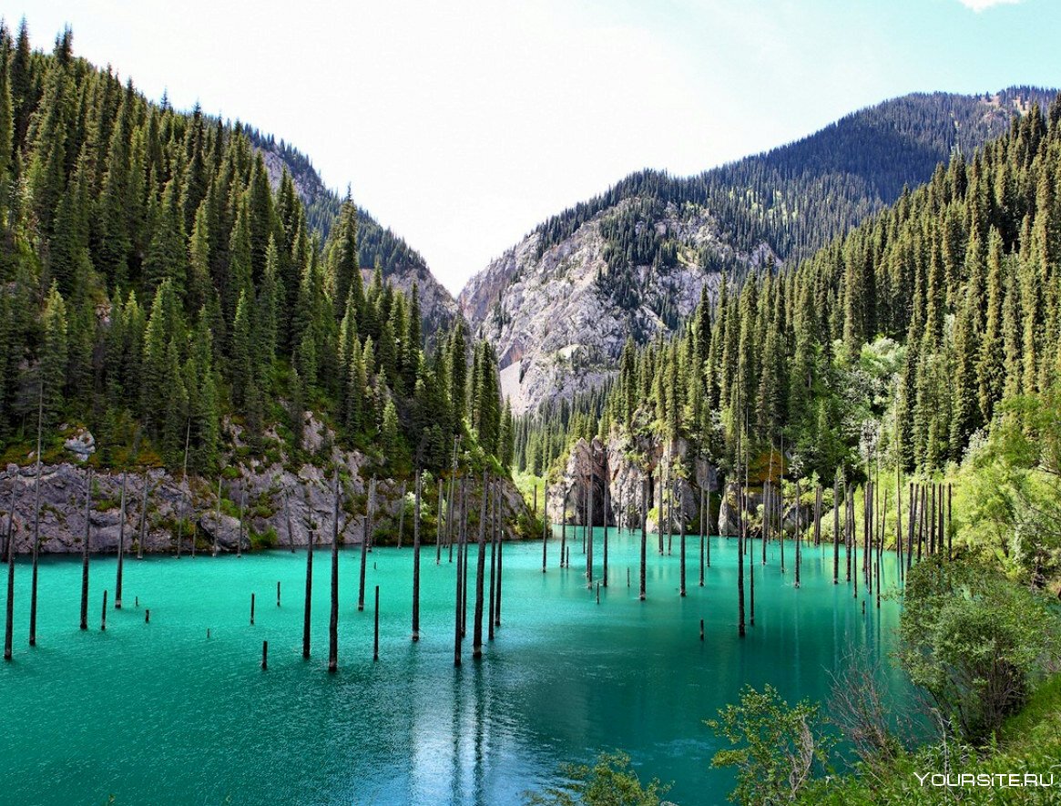 Озеро Каинды в Казахстане